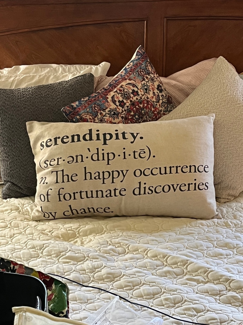 Pottery Barn Cream Accent Pillow with Black Text “Serendipity……” - Picture 11 of 12